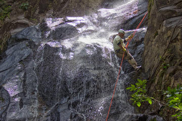 Waterfall Rappelling at Bocawina Rainforest