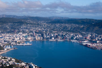 Wellington Shore Excursion: City Sightseeing Tour