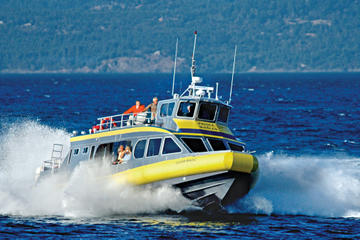 Whale-Watching Cruise from Vancouver to Victoria