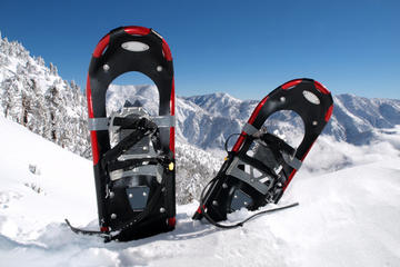Whistler Snowshoe Adventure
