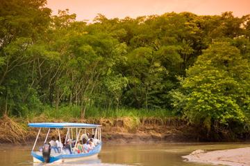 Wildlife Tour at Palo Verde National Park