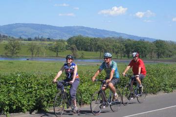 Wine Country Adventure: Bike and Kayak Wine Tour