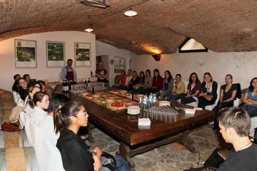 Wine Tasting and Bike Tour Around the Florentine Hills