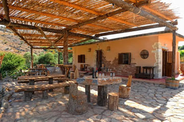 Wine Tasting and Culture Minibus Tour