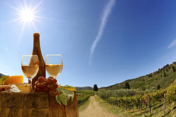 Wine Tasting Tour in the Tuscan's Hills from Lucca
