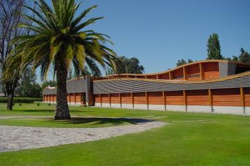 Wine Tour of Viña Almaviva
