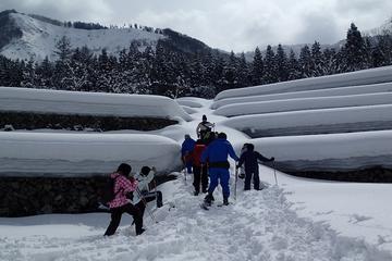 Winter Small Village Snowshoeing in Hida Takayama