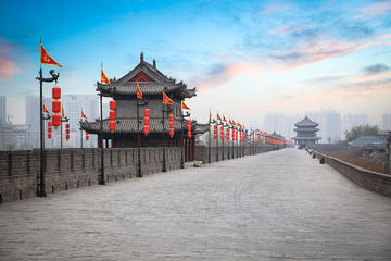 Xian Private 2-Day Tour of Highlights and Terracotta Warriors without Hotel