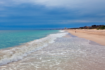 Yanchep National Park and Scarborough Beach Day Trip from Perth