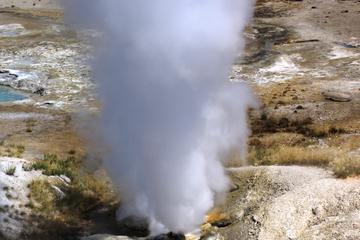 Yellowstone Lower Loop Self Guided Driving Tour from Jackson Hole