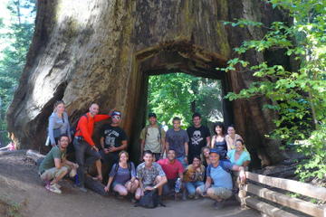 Yosemite 3-Day Camping Tour