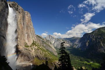 Yosemite National Park Day Tour