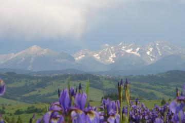 Zakopane and Tatra Mountains Guided Day Trip from Krakow